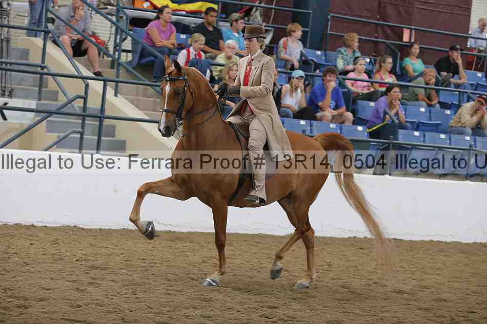 Proof Number 13r14_0504