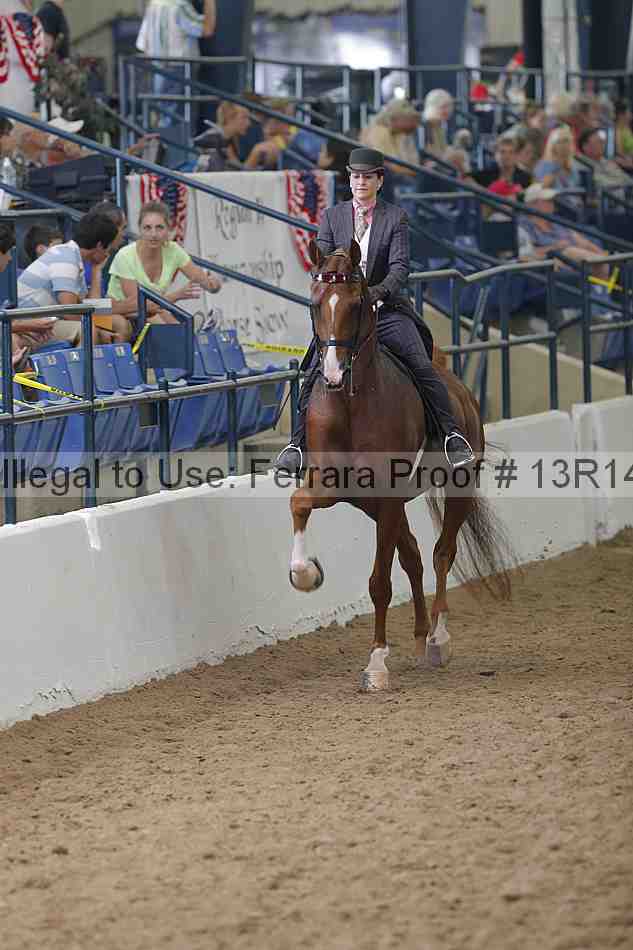 Proof Number 13r14_0505