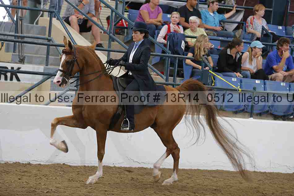 Proof Number 13r14_0512