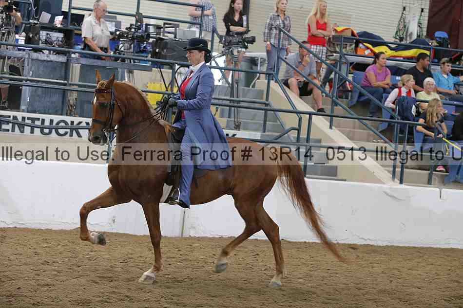 Proof Number 13r14_0513