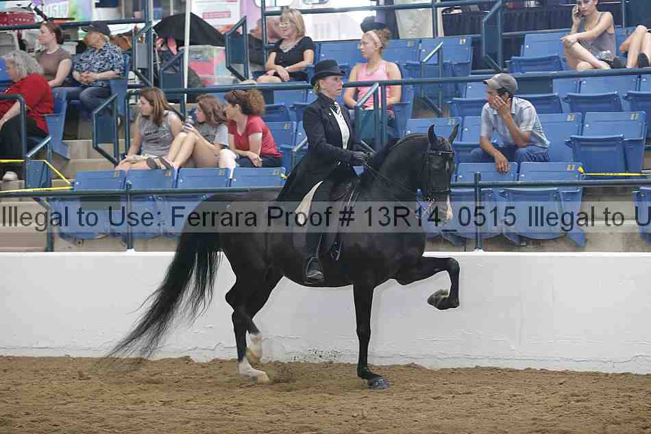 Proof Number 13r14_0515