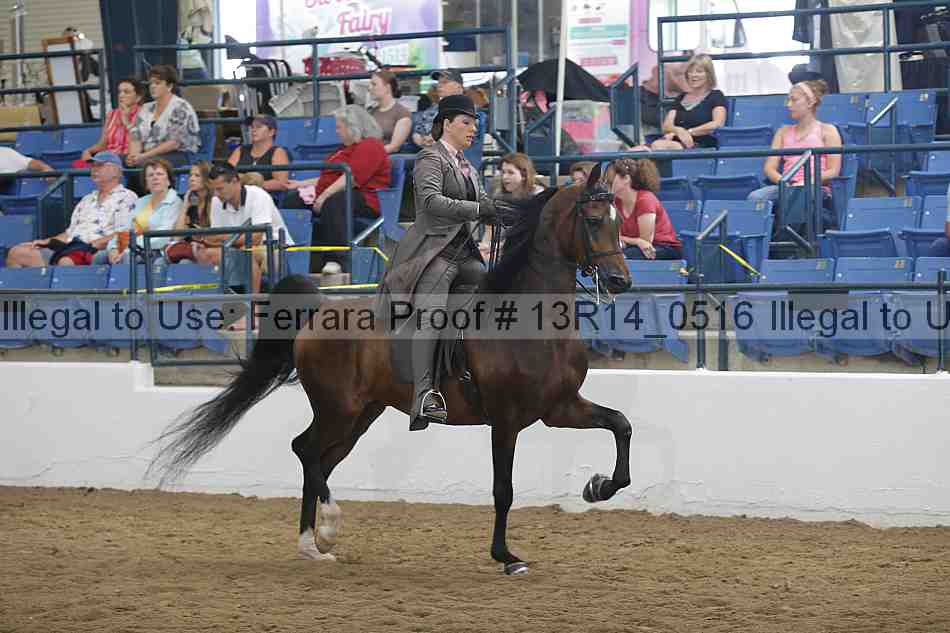 Proof Number 13r14_0516