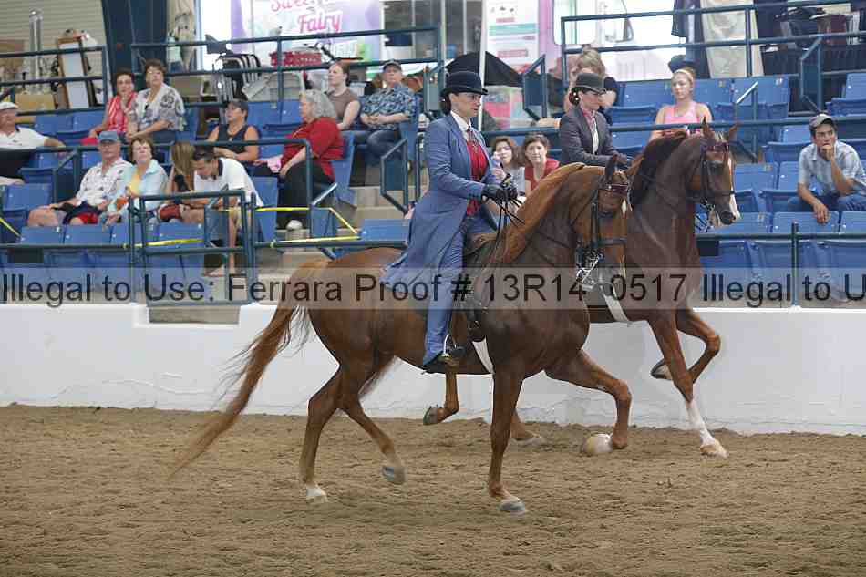 Proof Number 13r14_0517