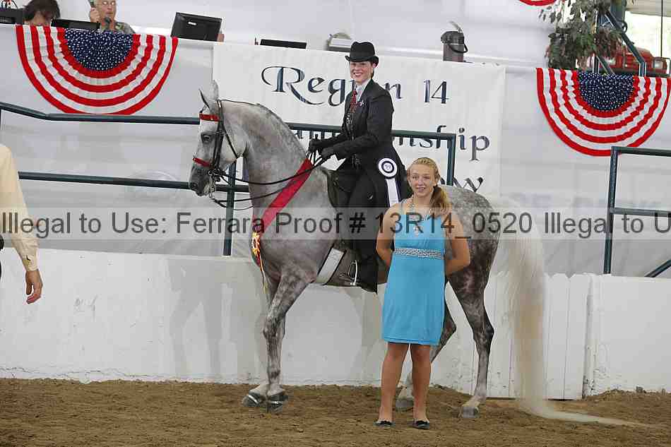 Proof Number 13r14_0520