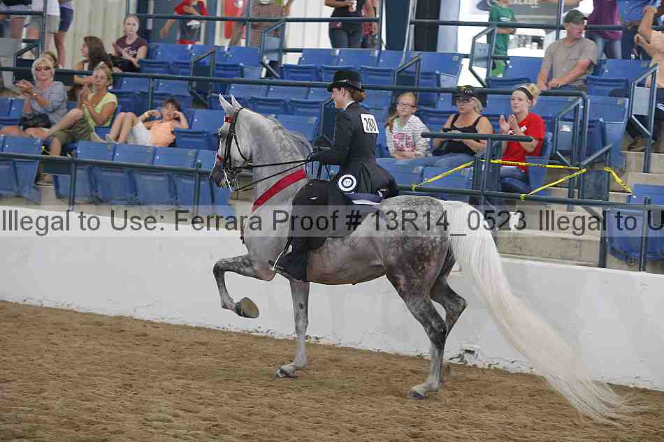Proof Number 13r14_0523
