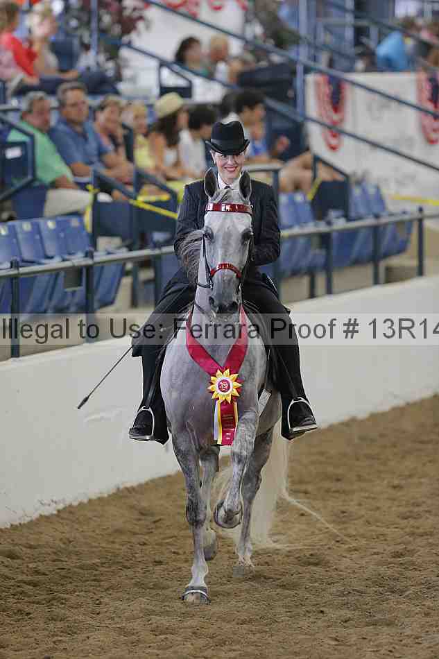 Proof Number 13r14_0524