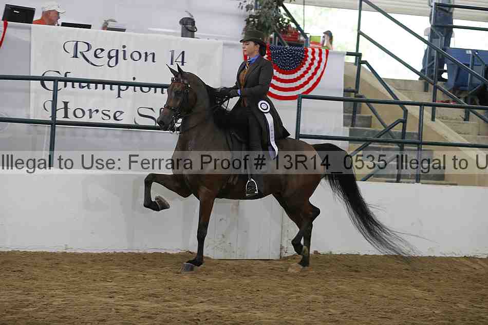 Proof Number 13r14_0535