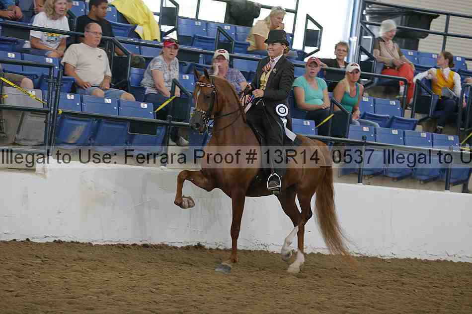 Proof Number 13r14_0537