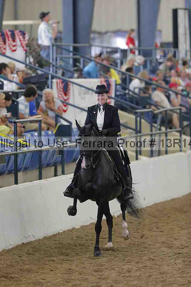 Proof Number 13r14_0538