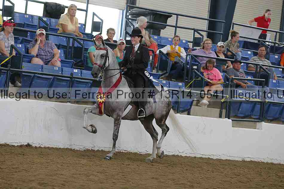 Proof Number 13r14_0541
