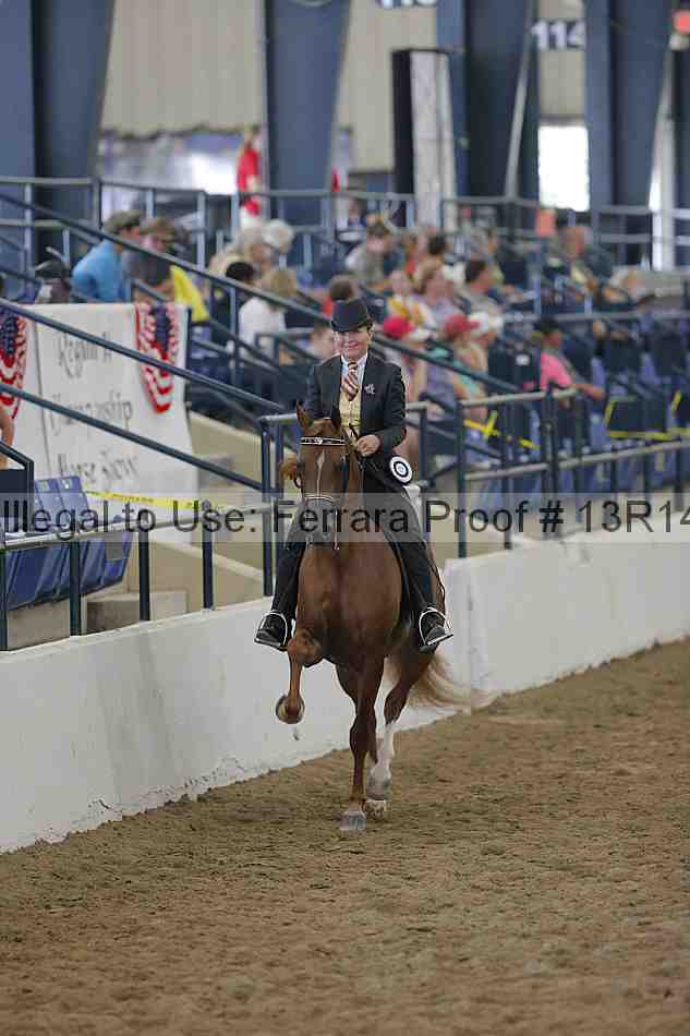 Proof Number 13r14_0542