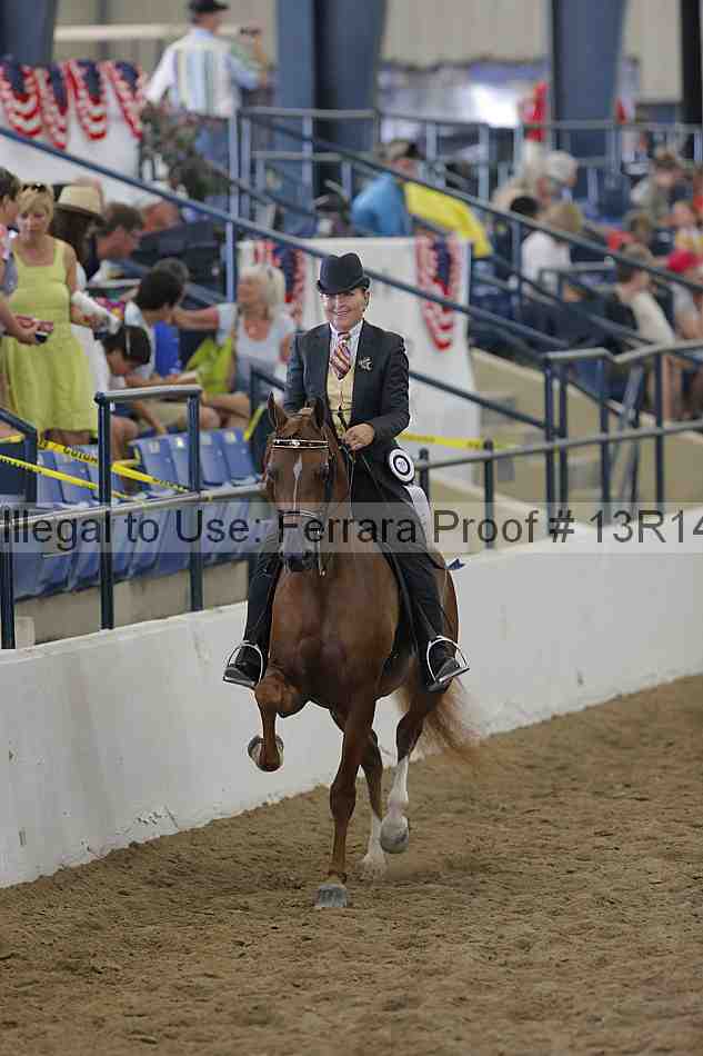 Proof Number 13r14_0544