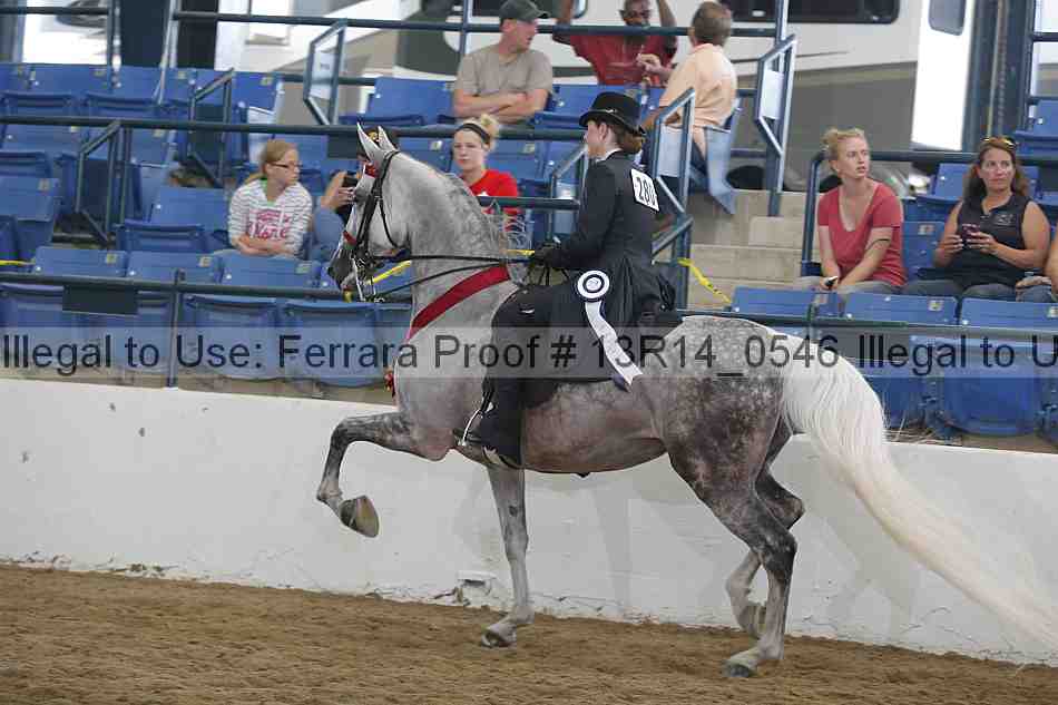 Proof Number 13r14_0546