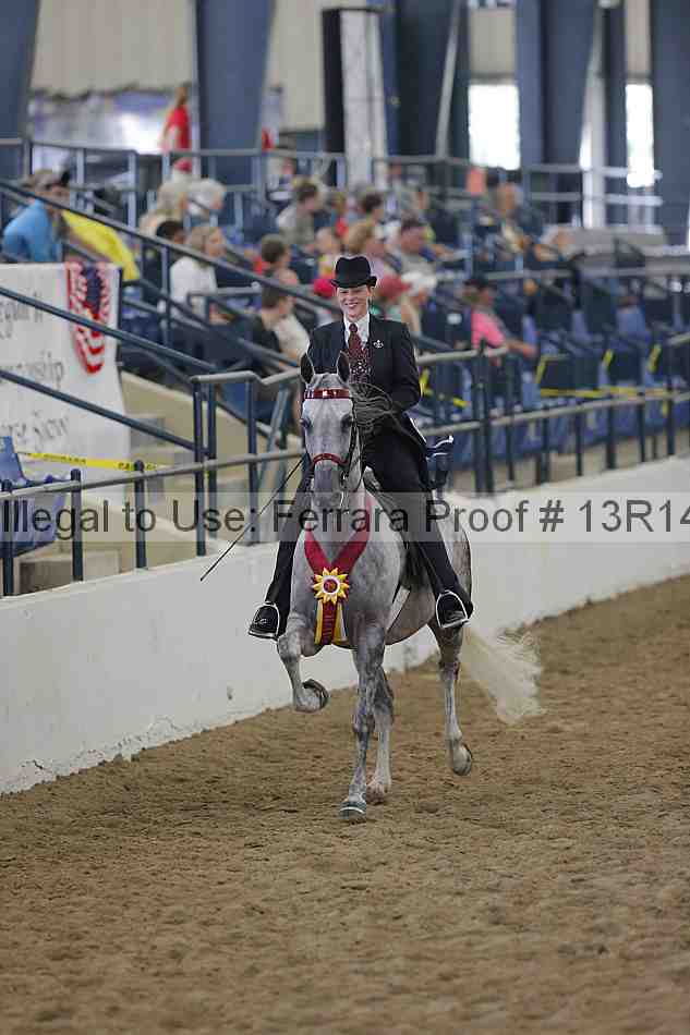 Proof Number 13r14_0548