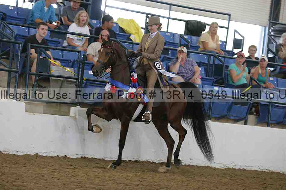 Proof Number 13r14_0549