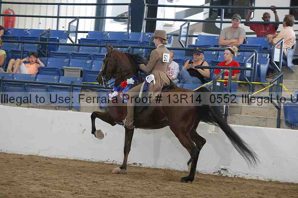 Proof Number 13r14_0552