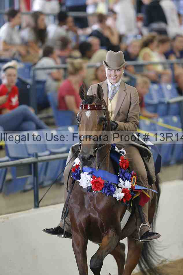 Proof Number 13r14_0555
