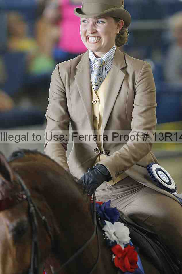 Proof Number 13r14_0556
