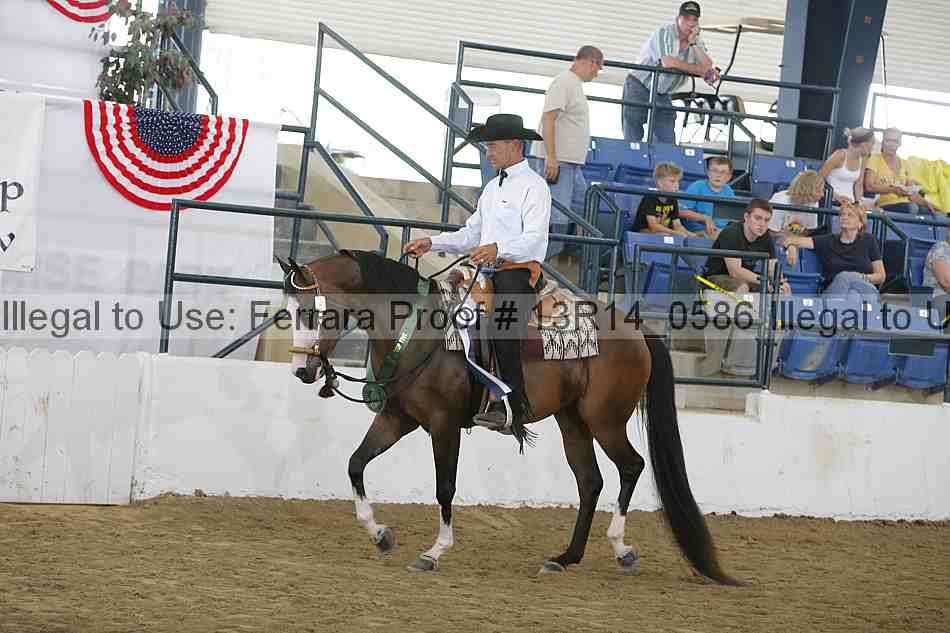 Proof Number 13r14_0586