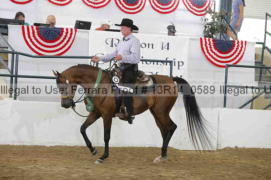 Proof Number 13r14_0589