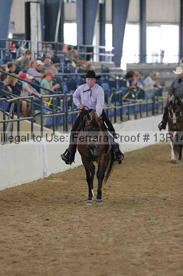 Proof Number 13r14_0593
