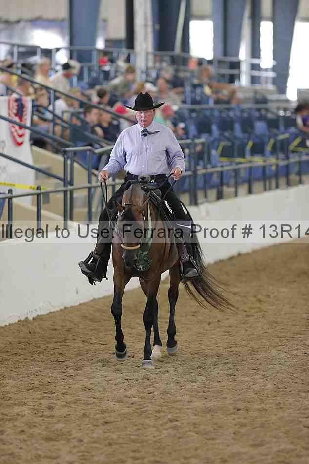 Proof Number 13r14_0595