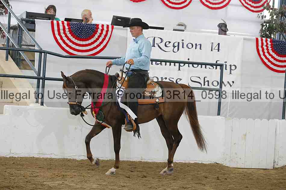 Proof Number 13r14_0598