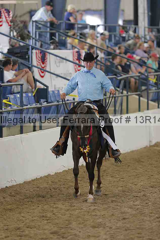 Proof Number 13r14_0604