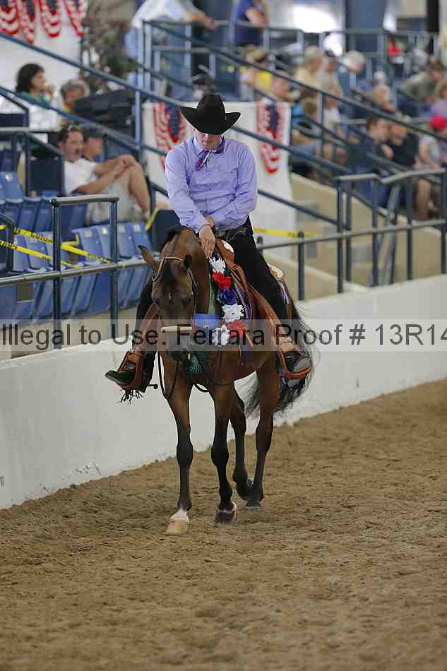 Proof Number 13r14_0606