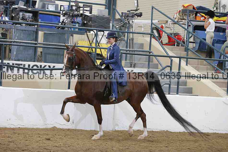 Proof Number 13r14_0635