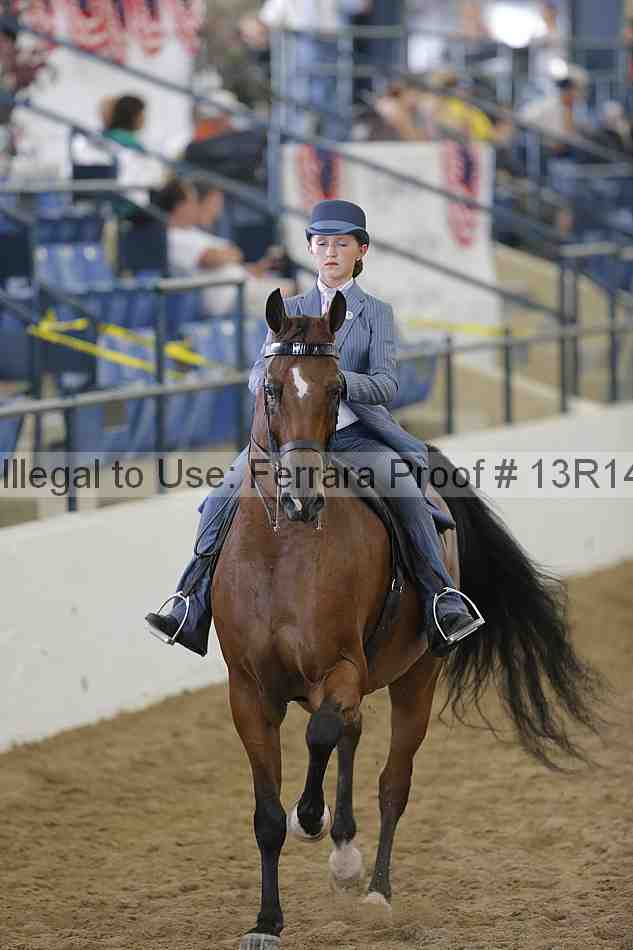 Proof Number 13r14_0637