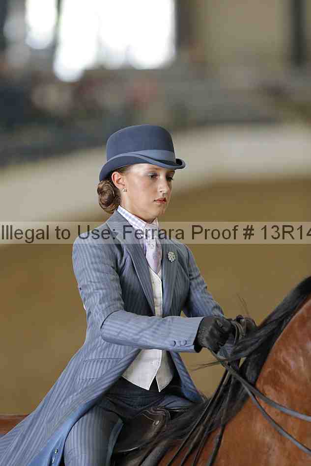 Proof Number 13r14_0640