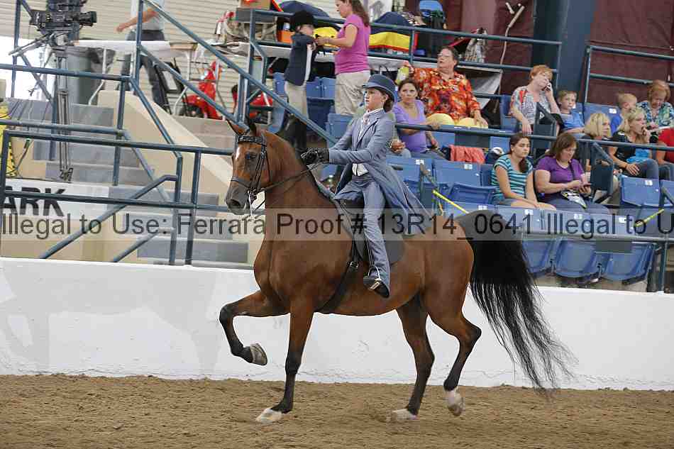 Proof Number 13r14_0641