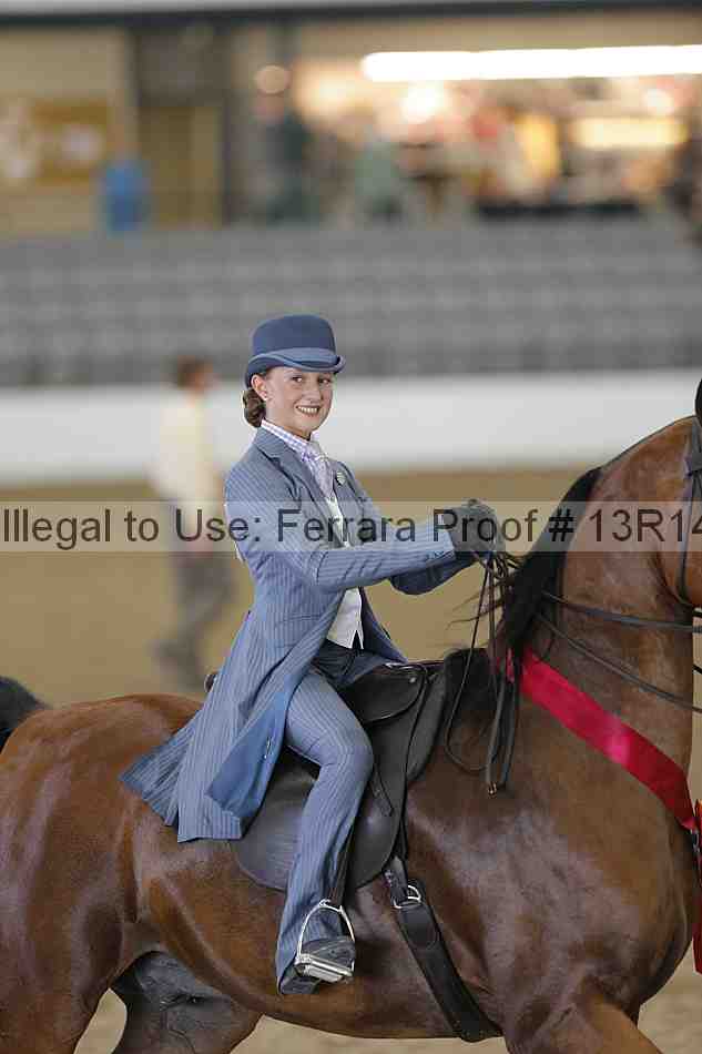 Proof Number 13r14_0648