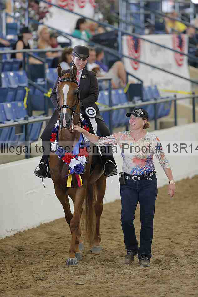 Proof Number 13r14_0651
