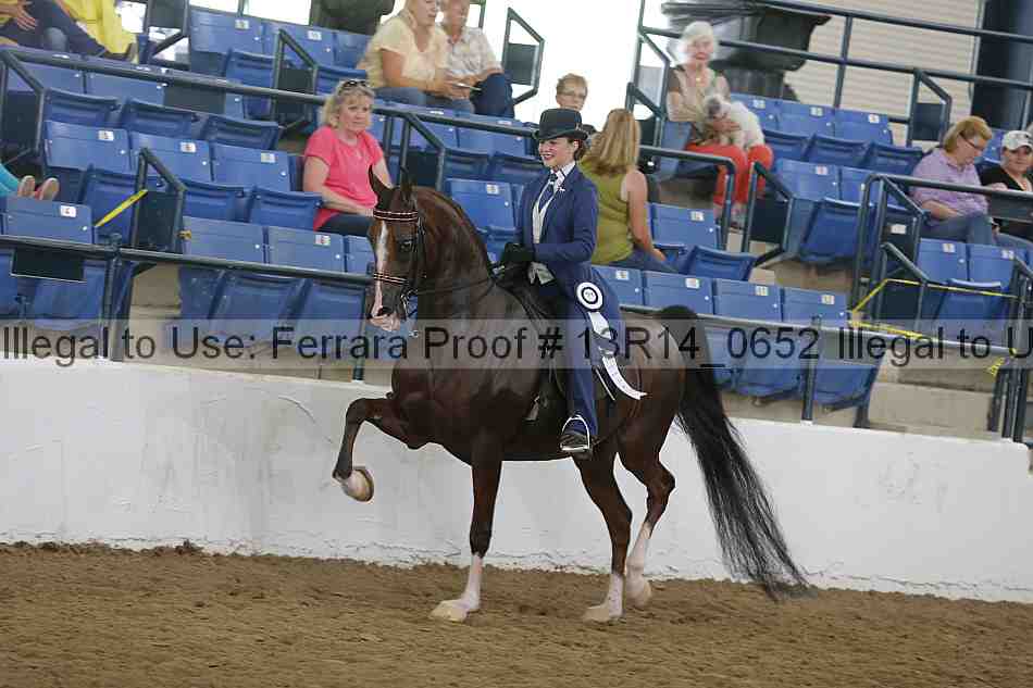 Proof Number 13r14_0652
