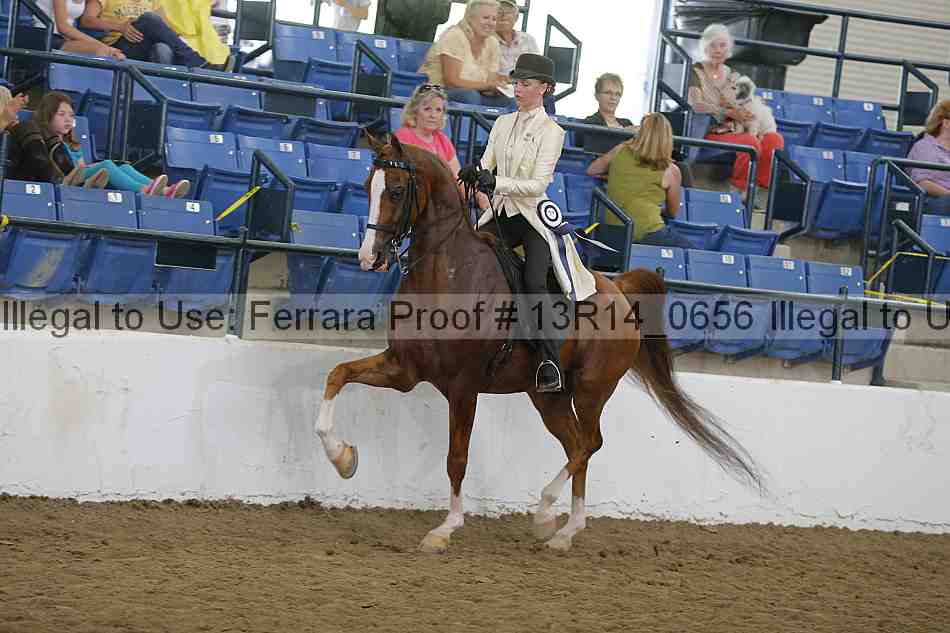 Proof Number 13r14_0656