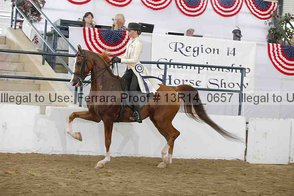 Proof Number 13r14_0657