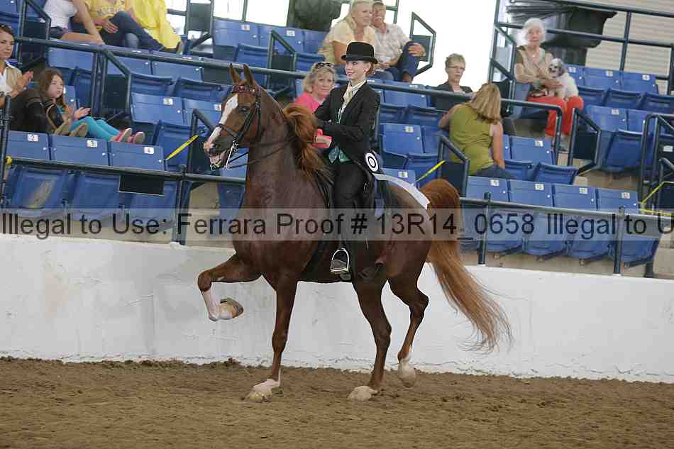 Proof Number 13r14_0658
