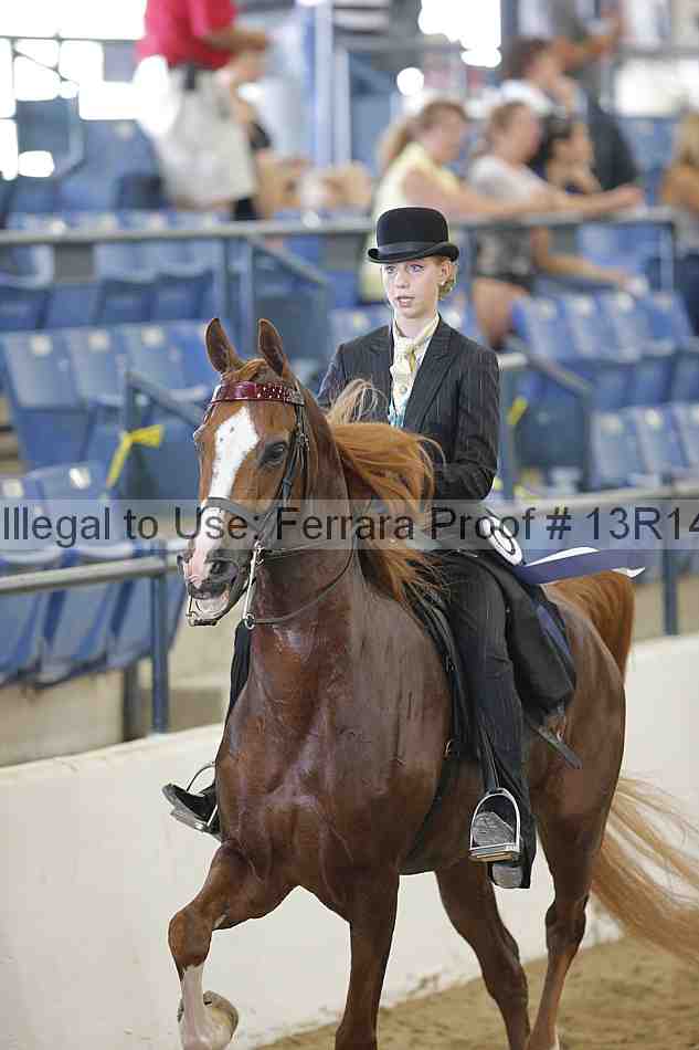 Proof Number 13r14_0664