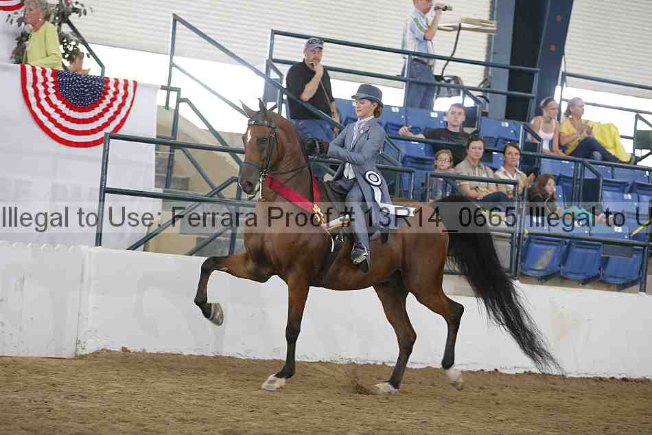Proof Number 13r14_0665