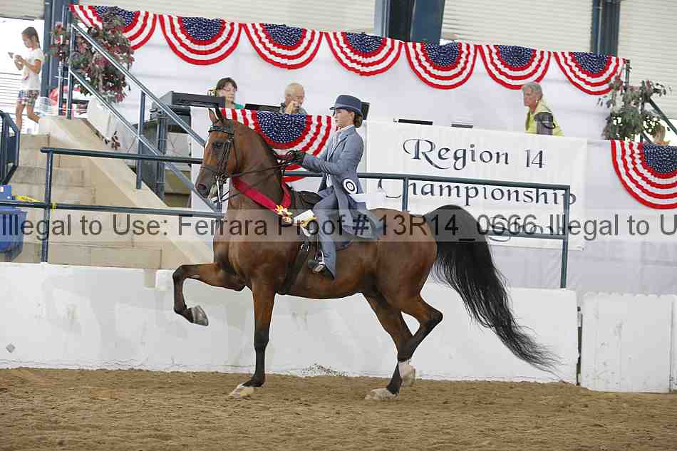 Proof Number 13r14_0666