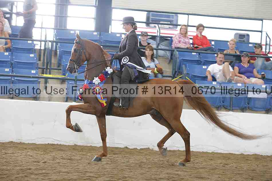 Proof Number 13r14_0670
