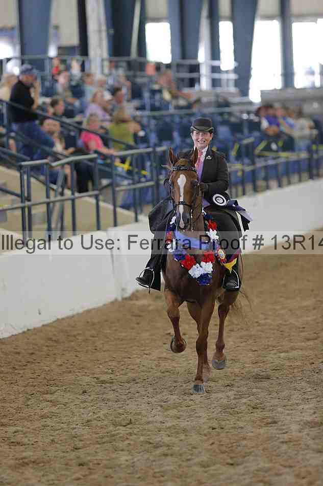 Proof Number 13r14_0672