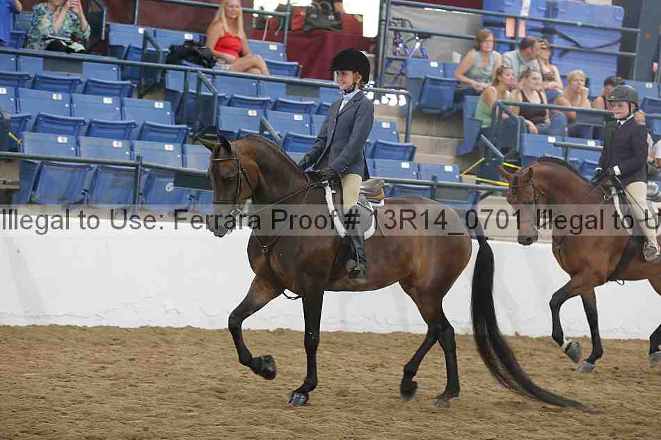 Proof Number 13r14_0701