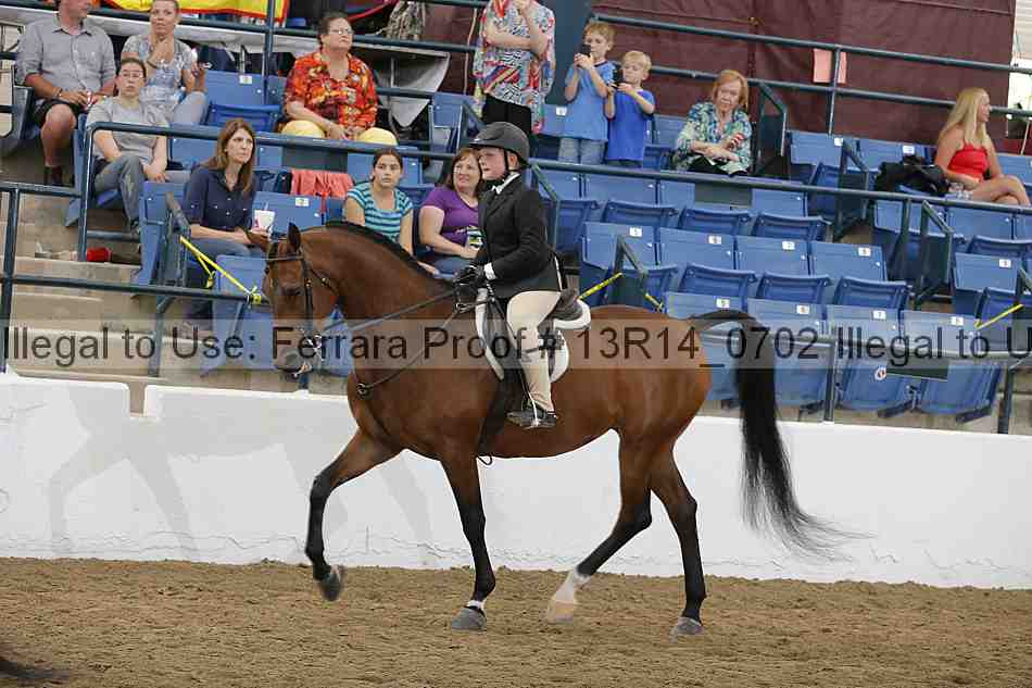 Proof Number 13r14_0702