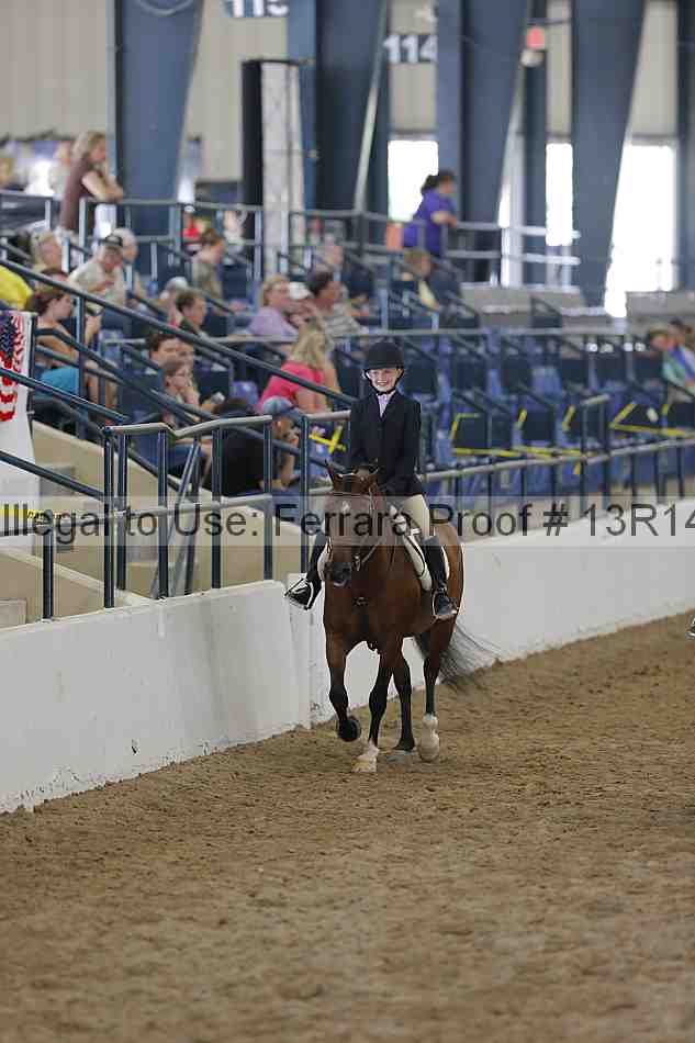 Proof Number 13r14_0709