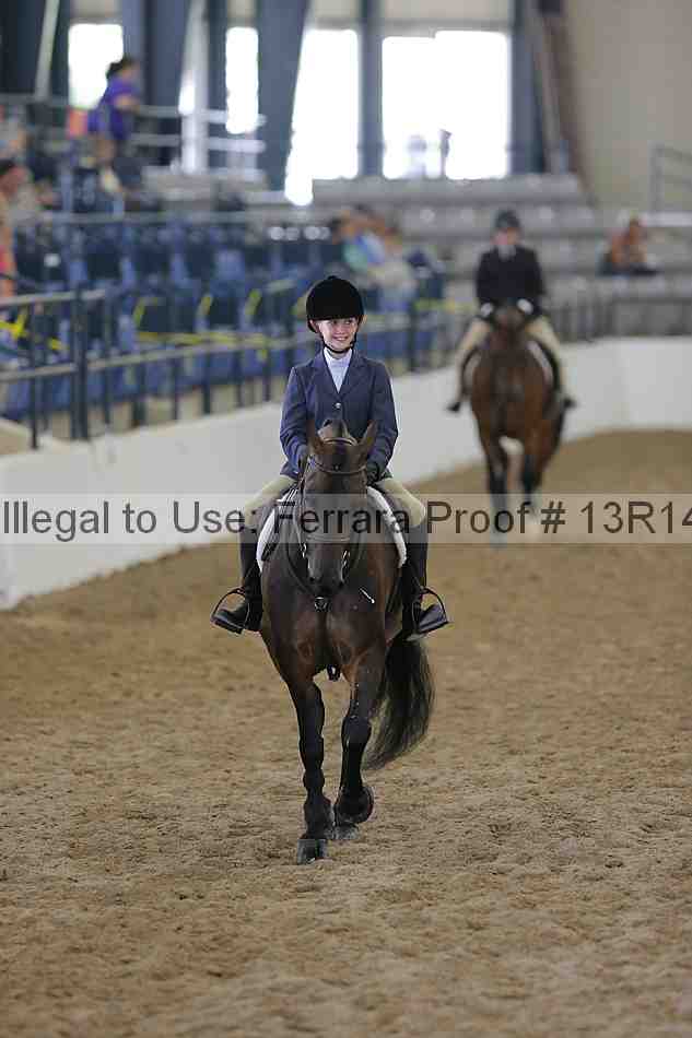 Proof Number 13r14_0713