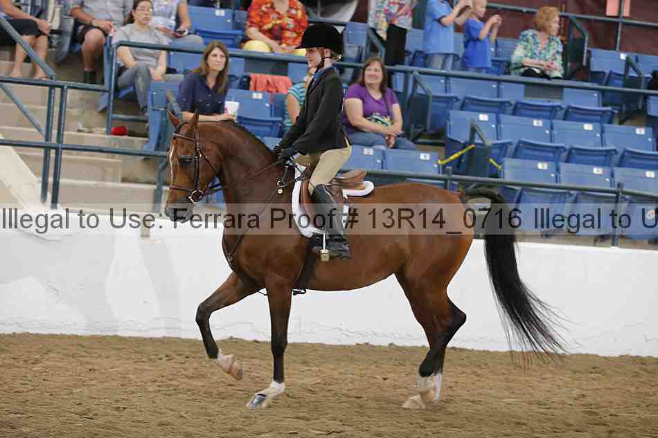 Proof Number 13r14_0716