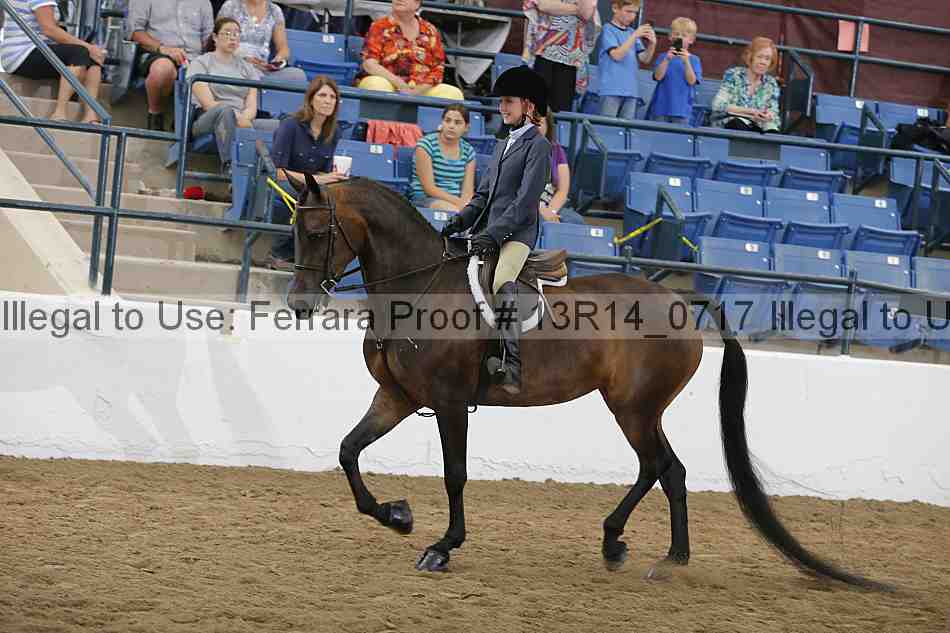 Proof Number 13r14_0717